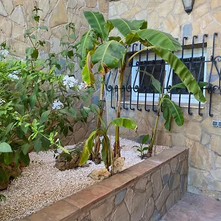 Botánica Bed and breakfast