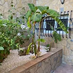 Botanica B&B