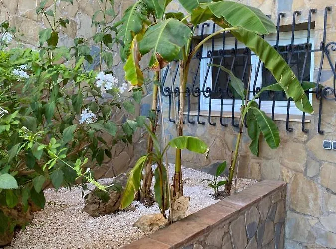 Botánica Alojamento de Acomodação e Pequeno-almoço